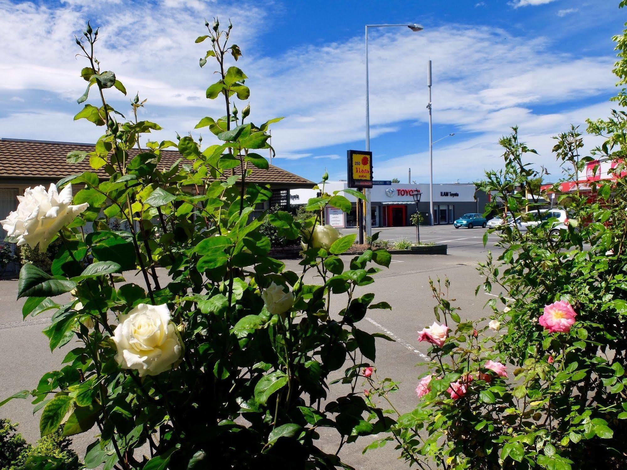 Ilam Motel Christchurch Extérieur photo